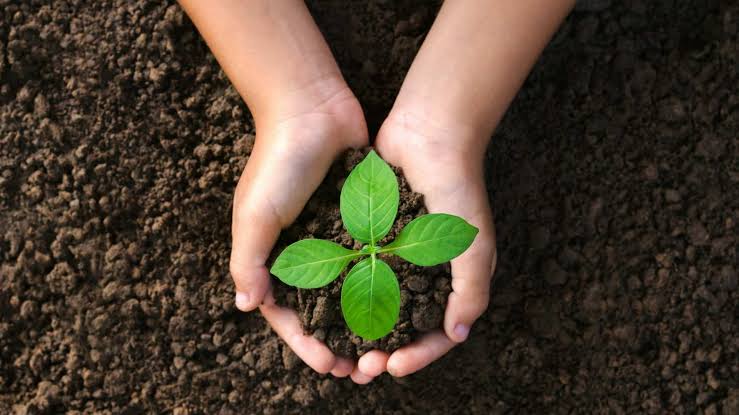 Agriculture Investment